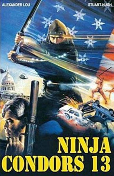 Ninja Condors 13, Große Hartbox Cover A3